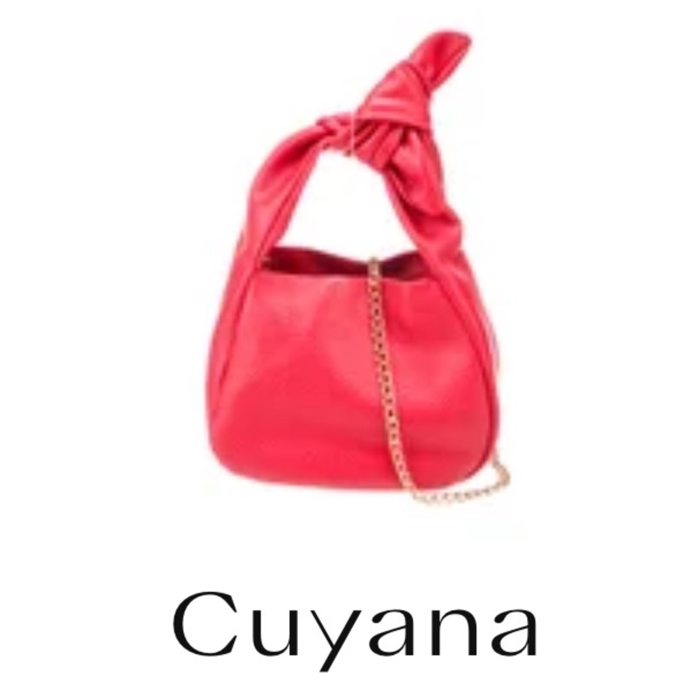Cuyana red mini bag